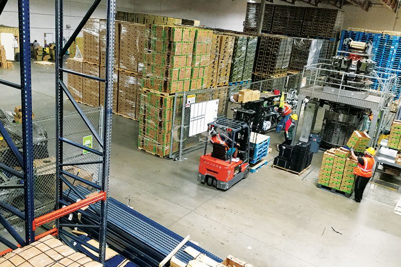 Protected Company Produce with Drive in Pallet Racking System