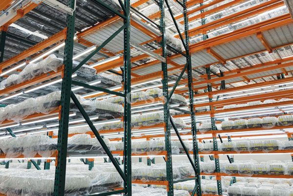 Rack Supported Catwalk for Seedling Nursery | Greenhouse | C&SS