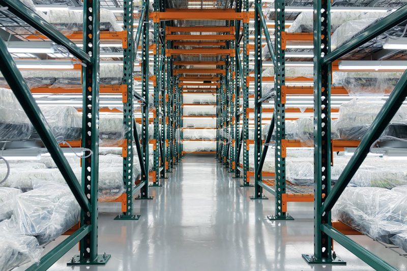 Pallet Racking System for Healthy Plants Business